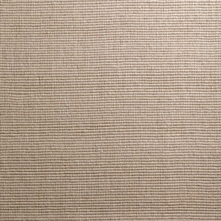 Dalyn Monaco Sisal MC100 Taupe Area Rug Close Up 
