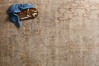 Loloi Anastasia AF-17 Desert Area Rug Close Up