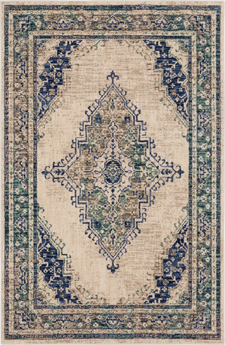Karastan Cosmopolitan Armitage Indigo Area Rug Main image