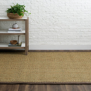 Karastan Modern Classics Basketweave Seagrass Area Rug  Featured