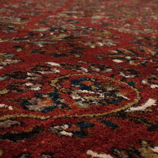 Karastan Spice Market Berdan Garnet Area Rug Close Up 