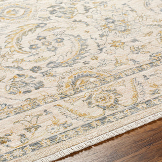 Surya Chicago CHG-2300 Area Rug Border