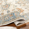 Surya Chicago CHG-2311 Area Rug Rolled 