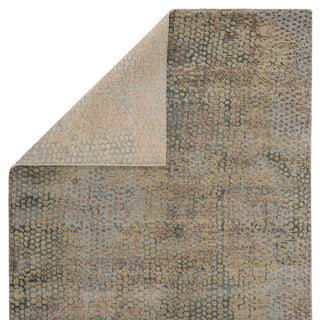 Jaipur Living Chaos Theory By Kavi Naga CKV05 Beige/Blue Area Rug