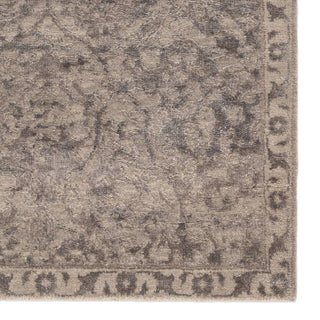 Jaipur Living Chaos Theory By Kavi Tir 2 CKV21 Gray/Taupe Area Rug