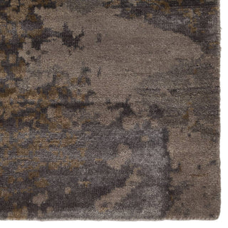 Jaipur Living Chaos Theory By Kavi Salacia CKV23 Gray/Brown Area Rug