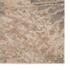 Jaipur Living Chaos Theory By Kavi Thea CKV25 Gray/Beige Area Rug - Close Up