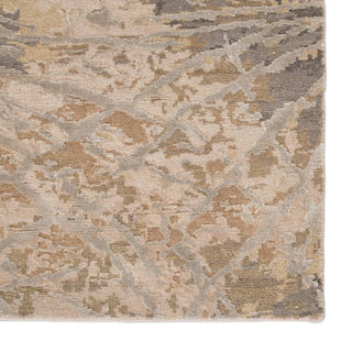 Jaipur Living Chaos Theory By Kavi Thea CKV25 Gray/Beige Area Rug - Close Up