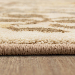 Karastan Euphoria Edenderry SandStone Rug closeup