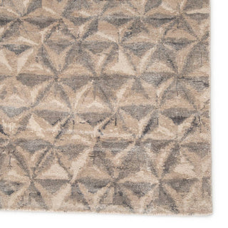 Jaipur Living Free Verse Edge by Kavi Raagam FVK01 Gray/Beige Area Rug - Close Up