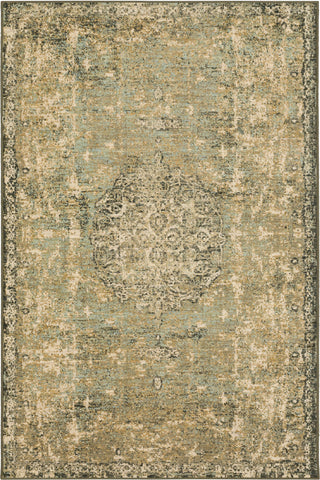 Karastan Titanium Floret Ivory Area Rug by Patina Vie Main Image