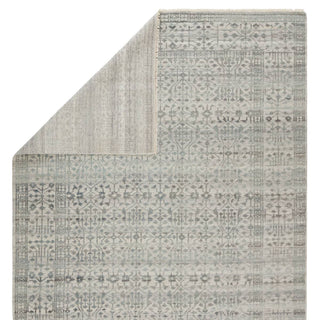 Jaipur Living Gaia Arinna GAI02 Gray/Light Blue Area Rug