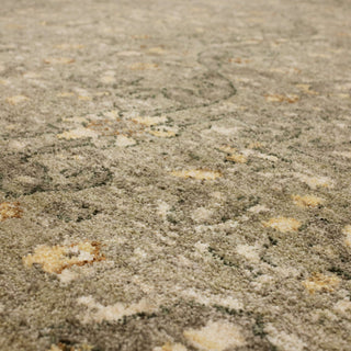 Karastan Euphoria Galway Willow Grey Area Rug Close Up