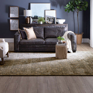 Karastan Euphoria Galway Willow Grey Area Rug Room Scene Featured