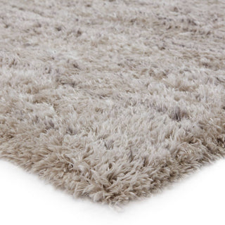 Jaipur Living Izara Chessa IZA04 Light Taupe/Gray Area Rug - Corner