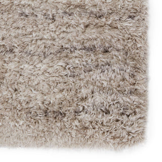 Jaipur Living Izara Chessa IZA04 Light Taupe/Gray Area Rug - Close Up