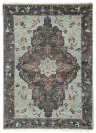 Jaipur Living Liberty Savona LIB09 Green/Dark Gray Area Rug