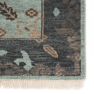 Jaipur Living Liberty Savona LIB09 Green/Dark Gray Area Rug