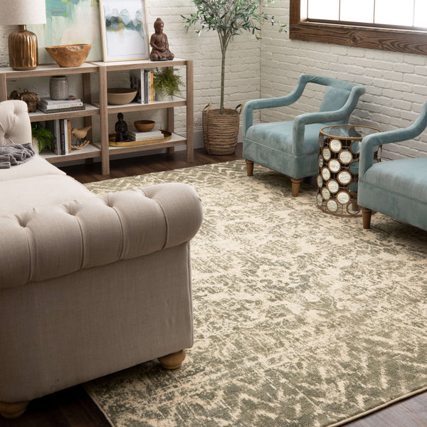 Karastan Touchstone Le Jardin Willow Gray Area Rug by Patina Vie Featured