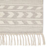 Jaipur Living Maracas Cidra MCS03 Light Gray/Cream Area Rug - Close Up