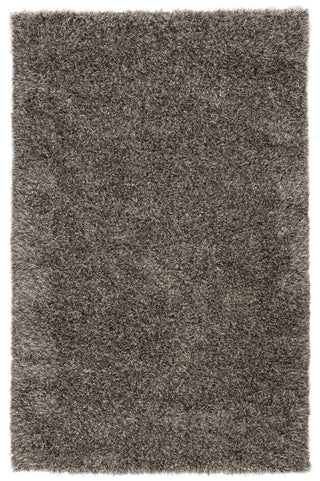 Jaipur Living Nadia ND01 Silver/Tan Area Rug - Top Down