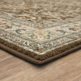 Karastan Euphoria Newbridge Brown Area Rug Corner 