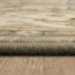 Karastan Titanium Overture Platinum Area Rug