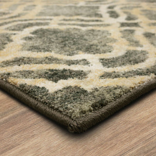 Karastan Euphoria Potterton Ash Grey Area Rug by Lattice Corner