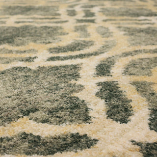 Karastan Euphoria Potterton Ash Grey Area Rug by Lattice Close Up