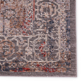 Jaipur Living Raveen Valle RVE02 Gray/Cream Area Rug - Close Up