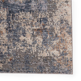 Jaipur Living Raveen Temecula RVE05 Blue/Tan Area Rug - Close Up