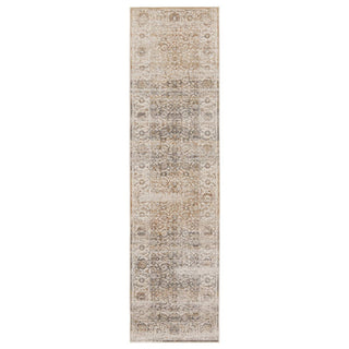 Jaipur Living Sinclaire Ilias SNL03 Gray/Tan Area Rug by Vibe Runner Image