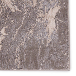 Jaipur Living Sinclaire Druzy SNL08 Gray/Cream Area Rug - Close Up