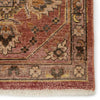 Jaipur Living Someplace In Time Dynasty SPT06 Pink/Brown Area Rug - Close Up