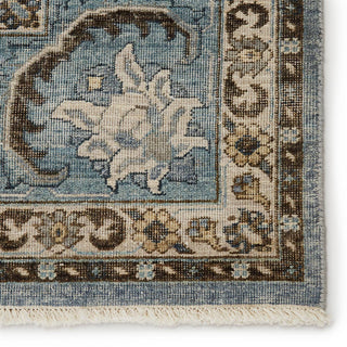 Jaipur Living Someplace In Time Pendulum SPT10 Blue/Brown Area Rug - Close Up