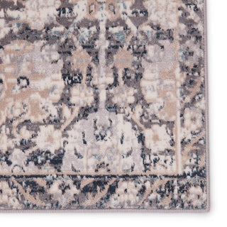 Jaipur Living Sarzana Izar SZN04 Gray/Beige Area Rug - Close Up