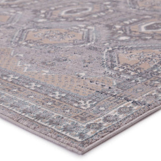 Jaipur Living Sarzana Cabazon SZN05 Gray/Beige Area Rug - Corner