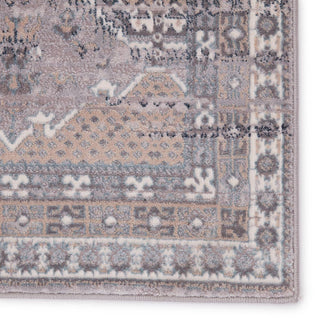 Jaipur Living Sarzana Cabazon SZN05 Gray/Beige Area Rug - Close  Up