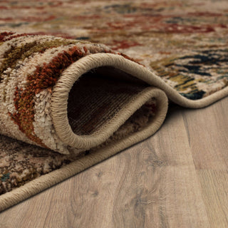 Karastan Intrigue Wile Multi Area Rug Curled