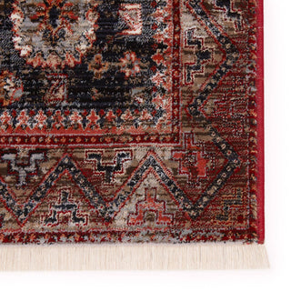 Jaipur Living Zefira Razia ZFA12 Navy/Red Area Rug - Close Up