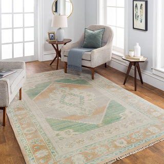 Surya Anadolu AAU-2303 Area Rug Room Scene Featured