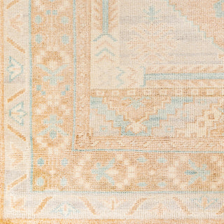 Surya Anadolu AAU-2306 Area Rug close up