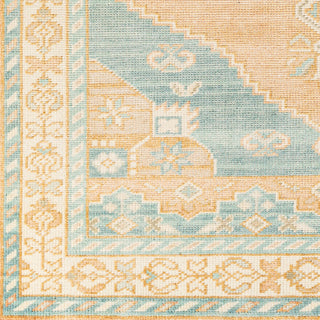 Surya Anadolu AAU-2308 Area Rug  close up