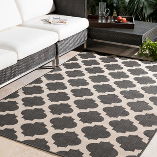 Surya Alfresco ALF-9584 Area Rug