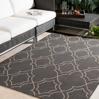 Surya Alfresco ALF-9590 Area Rug  Room Scene Featured