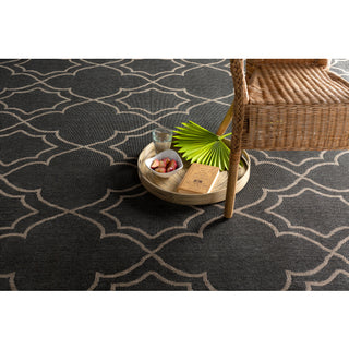 Surya Alfresco ALF-9590 Area Rug  Room Scene 2