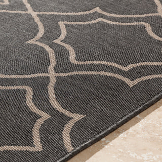 Surya Alfresco ALF-9590 Area Rug Closeup Edge