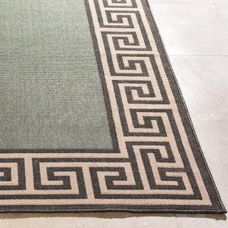 Surya Alfresco ALF-9625 Area Rug  Closeup corner