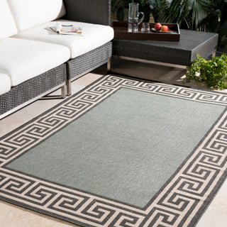 Surya Alfresco ALF-9625 Area Rug Room Scene Featured