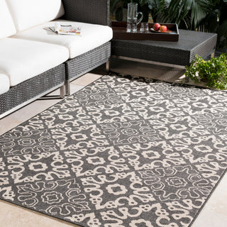 Surya Alfresco ALF-9637 Area Rug Room Scene Featured